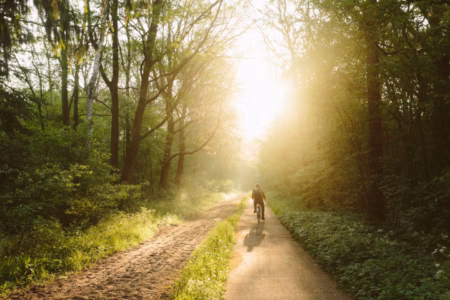 01ed7f1c 68f2 403a 828c 4dacbe3ff845