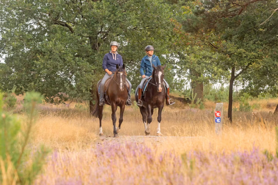 311f4072 6979 483b 99fe 9e6e8ddbebdd