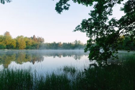 6e64f6a4 db51 48ce 9543 3e9a2b8df8b1