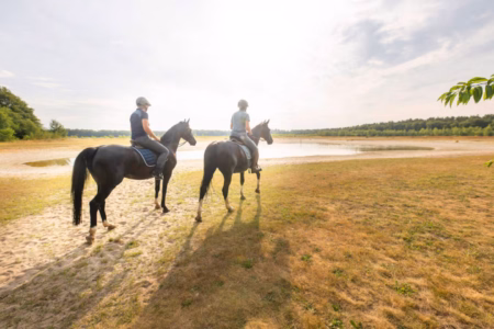 72692e5b 6e18 4c8b 87ee ce42756bddcf