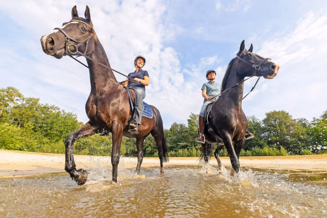 80ff3775 3fc2 4eac 9bd0 69acd776e8f3