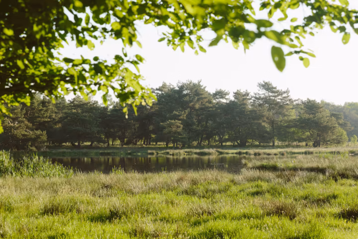 acbfe155 9a23 4dba 9ce1 38a5517eb001