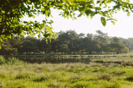 acbfe155 9a23 4dba 9ce1 38a5517eb001