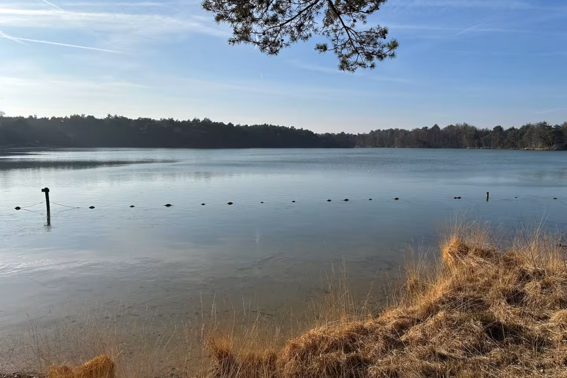 ace2c071 d951 462f 8636 90492fe584ae