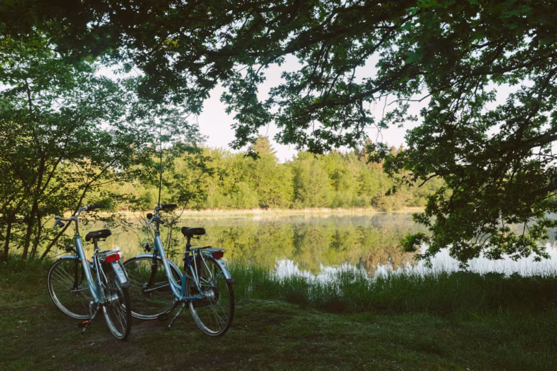 f8b52329 4a26 4c4c a62a d9df4d640e5b